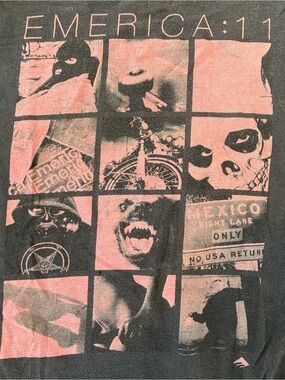 Emerica. Black and Pink Graphic Panel Print